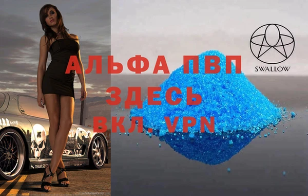 гидра Алексин