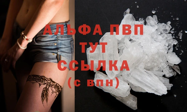 гидра Алексин